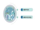 2.2细胞中的无机物修改 课件高中人教版生物必修一