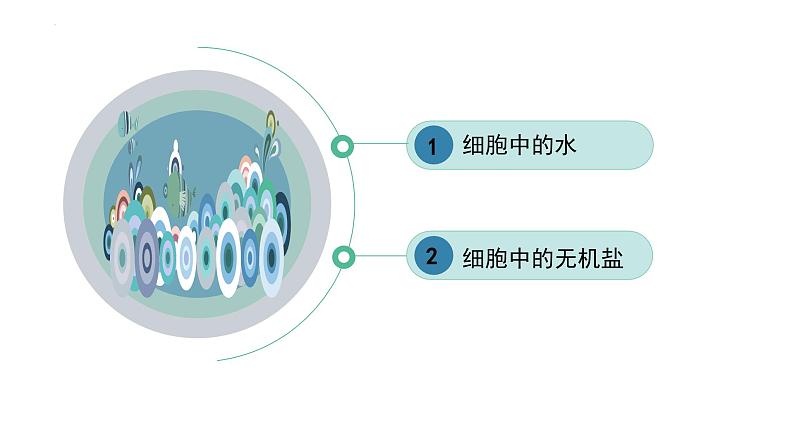 2.2细胞中的无机物修改 课件高中人教版生物必修一第4页