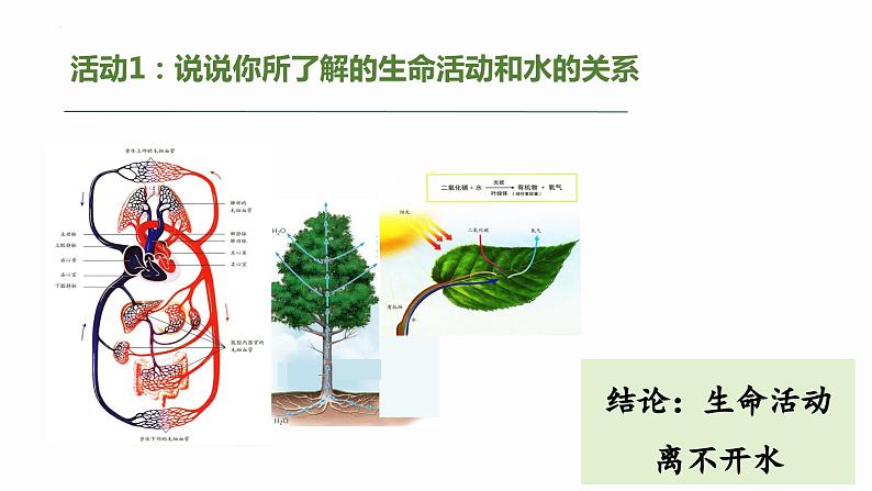 2.2细胞中的无机物修改 课件高中人教版生物必修一第5页