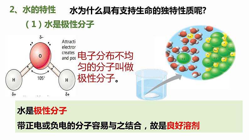 2.2细胞中的无机物修改 课件高中人教版生物必修一第8页