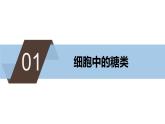 2.3细胞中的糖类和脂质 课件高中人教版生物必修一