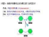 2.3细胞中的糖类和脂质 课件高中人教版生物必修一