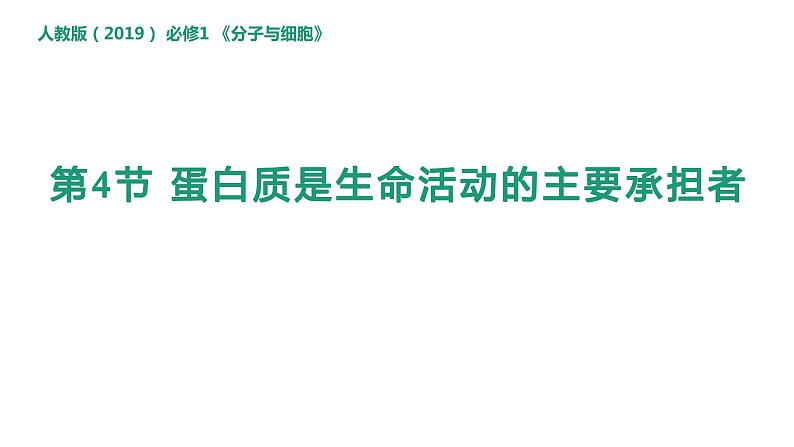 2.4 蛋白质是生命活动的主要承担者 课件高中人教版生物必修一01