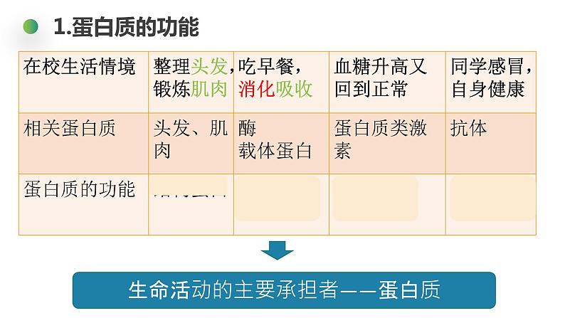 2.4 蛋白质是生命活动的主要承担者 课件高中人教版生物必修一05