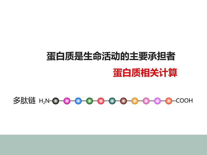 2.4蛋白质是生命活动的主要承担者-2 课件高中人教版生物必修一01