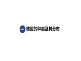 2.5核酸是遗传信息的携带者 课件高中人教版生物必修一