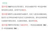2.5核酸是遗传信息的携带者 课件高中人教版生物必修一