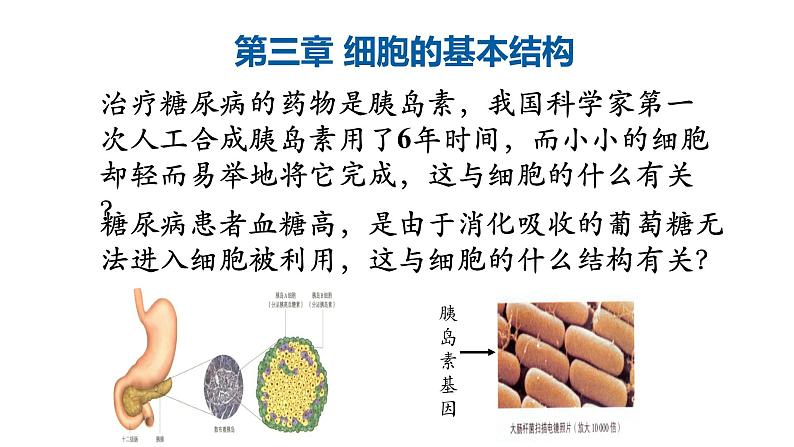 3.1细胞膜的结构与功能第1课时 课件高中人教版生物必修一01