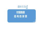 3.1细胞膜的结构与功能第2课时 课件高中人教版生物必修一