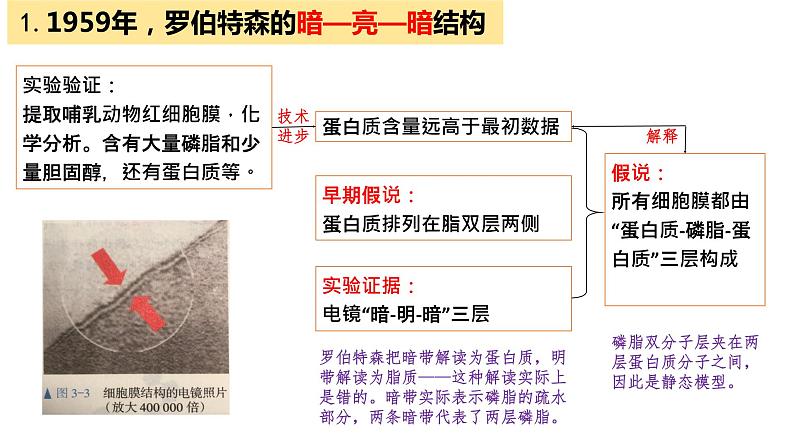 3.1细胞膜的结构与功能第2课时 课件高中人教版生物必修一第7页