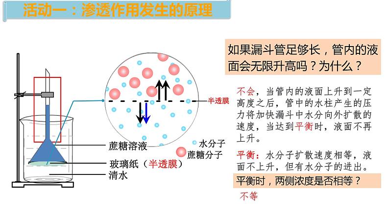 4.1被动运输第1课时 课件高中人教版生物必修一第4页