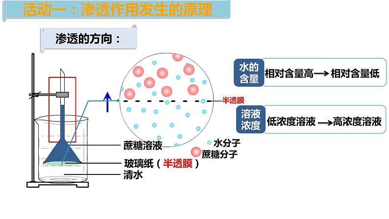 4.1被动运输第1课时 课件高中人教版生物必修一第8页