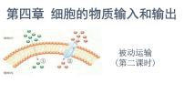 高中生物人教版 (2019)必修1《分子与细胞》第1节 被动运输教课ppt课件