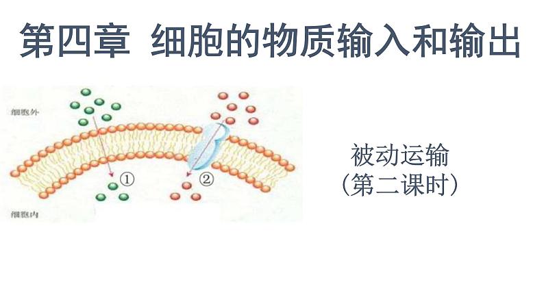 4.1被动运输第2课时 课件高中人教版生物必修一01