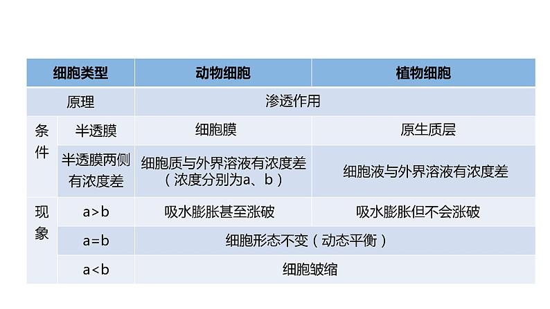 4.1被动运输第2课时 课件高中人教版生物必修一02