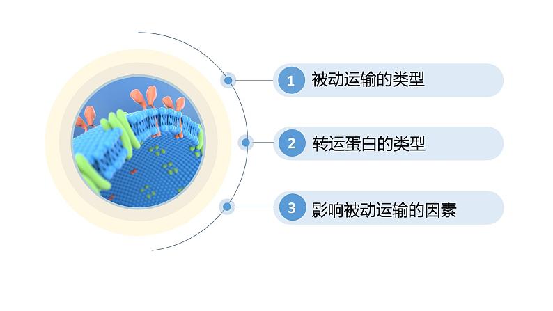 4.1被动运输第2课时 课件高中人教版生物必修一05