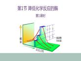 5.1酶的作用和本质（第1课时） 课件高中人教版生物必修一