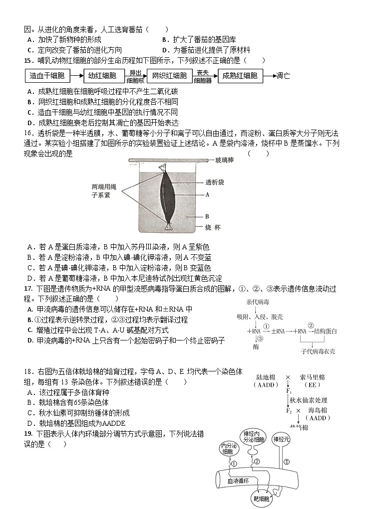 浙江省宁波市北仑中学2023-2024学年高二生物上学期期初考试试题（Word版附答案）第3页