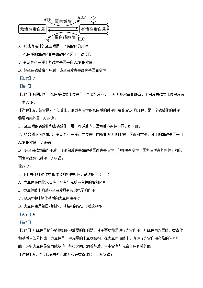 浙江省七彩阳光新高考研究联盟2023-2024学年高二生物上学期开学考试试题（Word版附解析）03