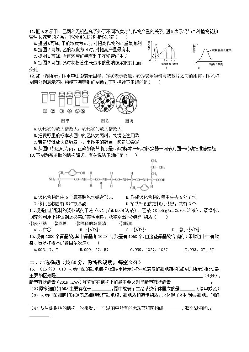 广东省普宁市兴文中学2022-2023学年高一上学期第一次月考生物试题02