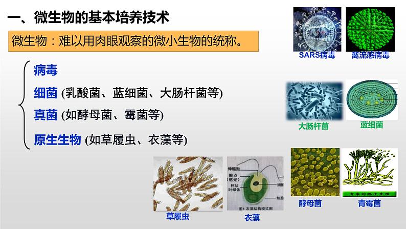 1.2微生物的培养技术及应用（1）  课件人教版高中生物选修三ppt04