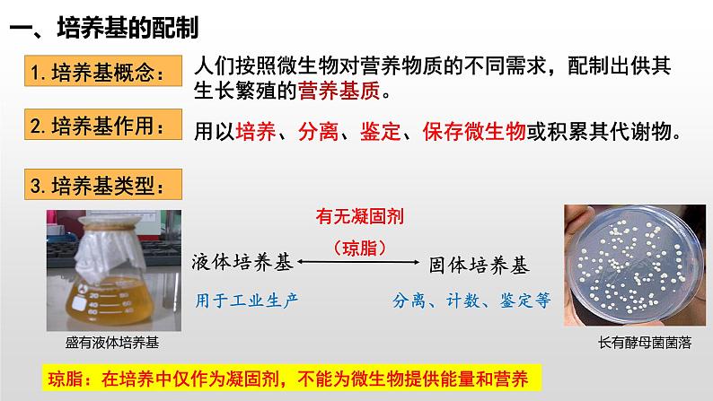 1.2微生物的培养技术及应用（1）  课件人教版高中生物选修三ppt07