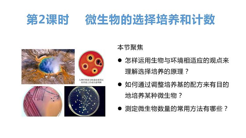 1.2微生物的培养技术及应用（2）  课件人教版高中生物选修三ppt第1页