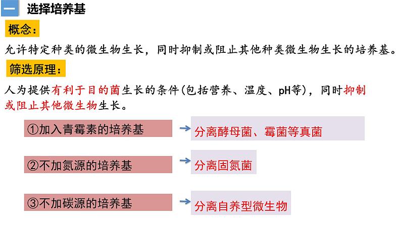 1.2微生物的培养技术及应用（2）  课件人教版高中生物选修三ppt第5页