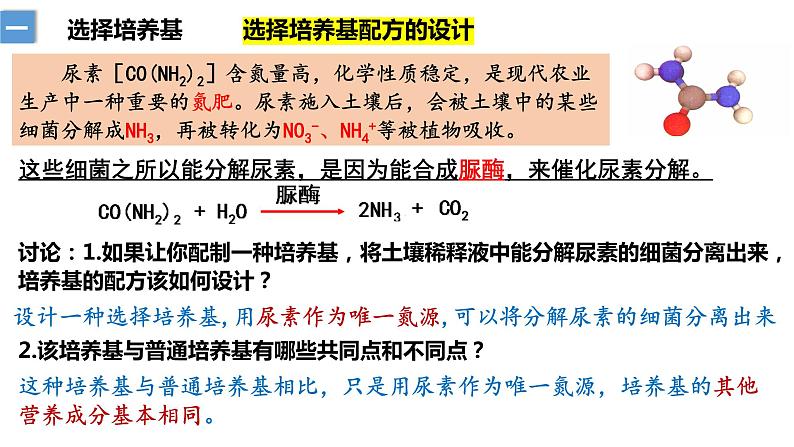 1.2微生物的培养技术及应用（2）  课件人教版高中生物选修三ppt第6页