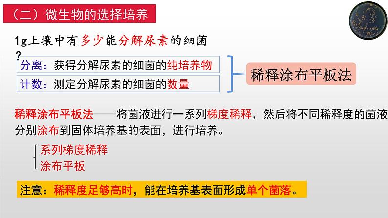 1.2微生物的培养技术及应用（2）  课件人教版高中生物选修三ppt第8页