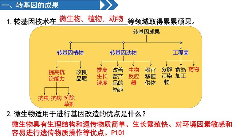 4.1-4.3生物技术的安全性和伦理问题  课件人教版高中生物选修三ppt第2页