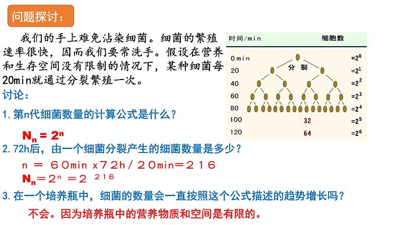 1.2 种群的数量变化  课件人教版高中生物选修二ppt第3页