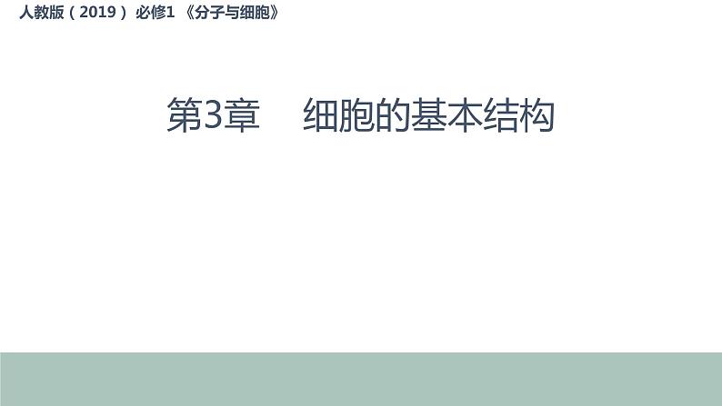 3.2细胞器的分工与合作1 课件高中人教版生物必修一第1页