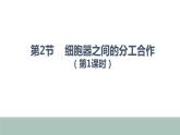 3.2细胞器的分工与合作1 课件高中人教版生物必修一