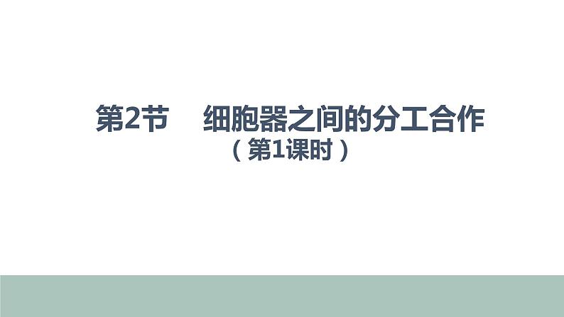 3.2细胞器的分工与合作1 课件高中人教版生物必修一第3页