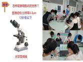 3.2细胞器的分工与合作1 课件高中人教版生物必修一