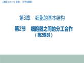 3.2细胞器的分工与合作2 课件高中人教版生物必修一