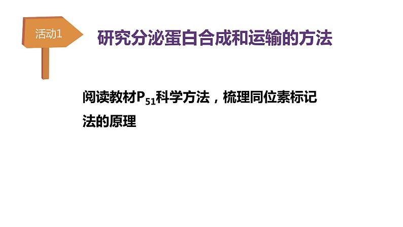 3.2细胞器的分工与合作2 课件高中人教版生物必修一07