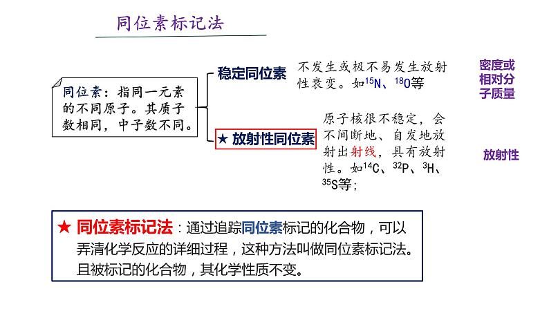 3.2细胞器的分工与合作2 课件高中人教版生物必修一08