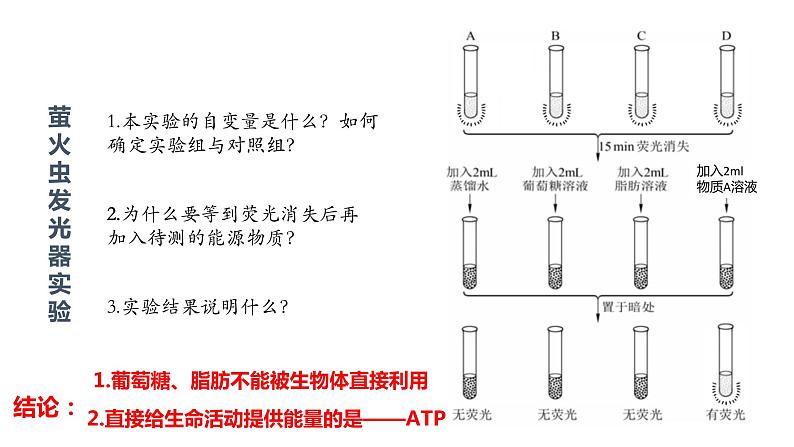 5.2细胞中的能量“货币”ATP 课件高中人教版生物必修一07