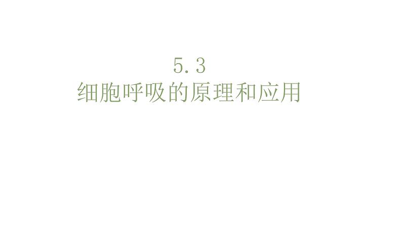 5.3细胞呼吸原理的应用 课件高中人教版生物必修一第1页