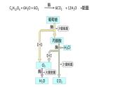 5.3细胞呼吸原理的应用 课件高中人教版生物必修一