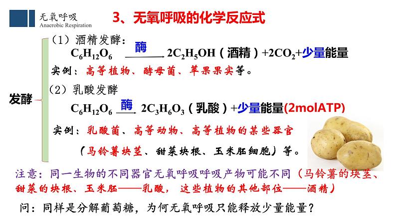 5.3细胞呼吸原理的应用 课件高中人教版生物必修一第6页