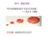 6.1细胞增殖 课件高中人教版生物必修一