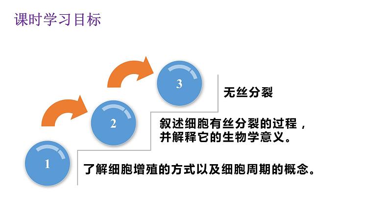 6.1细胞增殖 课件高中人教版生物必修一第4页