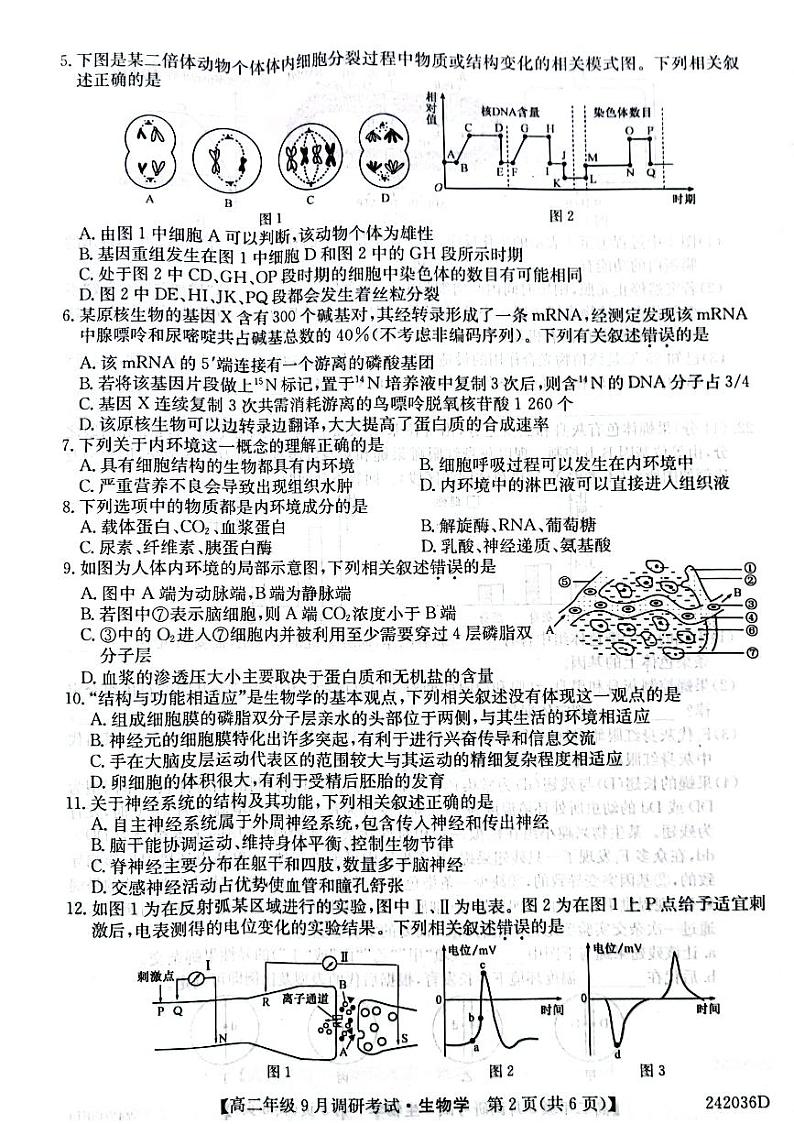 新高中创新联盟TOP二十名校高二年级9月调研考试 生物(1)第2页