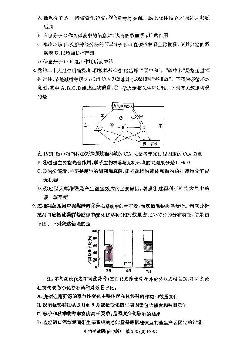 2024湖南师大附中高三上学期月考卷（一）生物PDF版无答案第3页