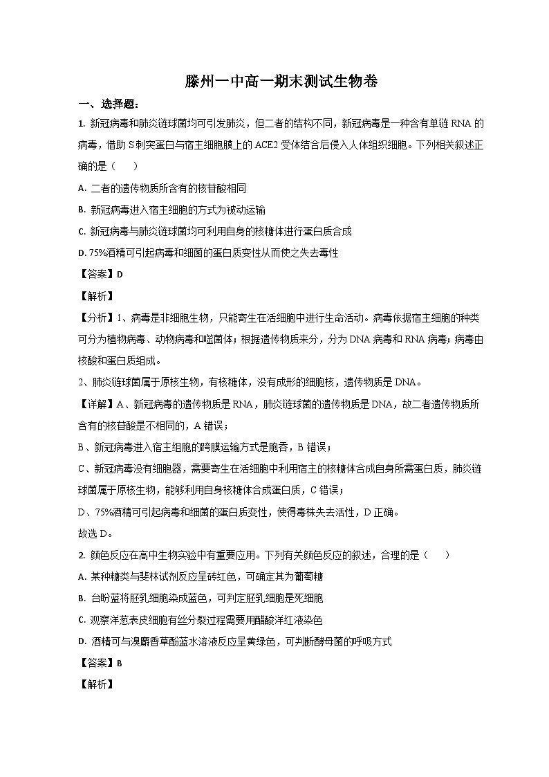 2023滕州一中高一上学期1月期末生物试题含解析01