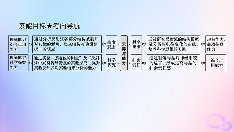 2024版新教材高考生物全程一轮总复习第八单元生命活动的调节课堂互动探究案2神经调节课件第4页