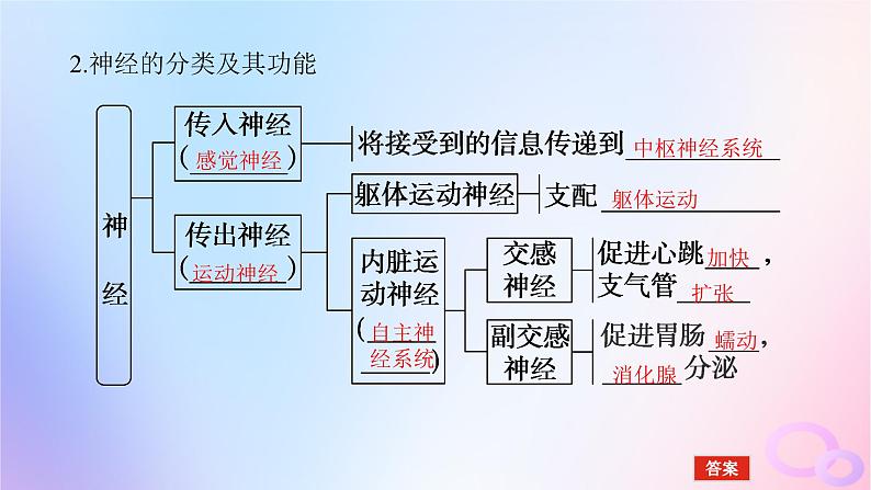 2024版新教材高考生物全程一轮总复习第八单元生命活动的调节课堂互动探究案2神经调节课件第7页